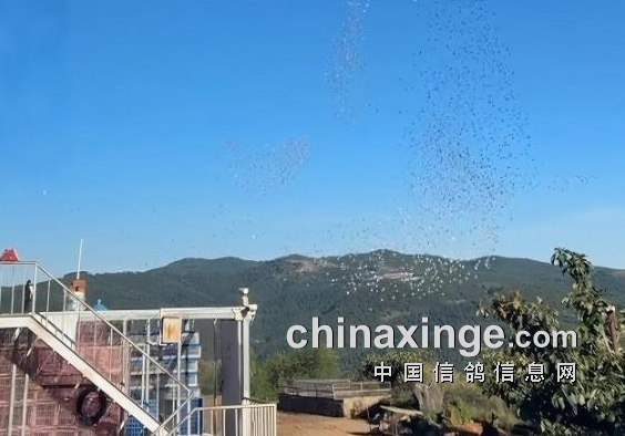 7ǧ���� ���ϾŶ������׹�ս������