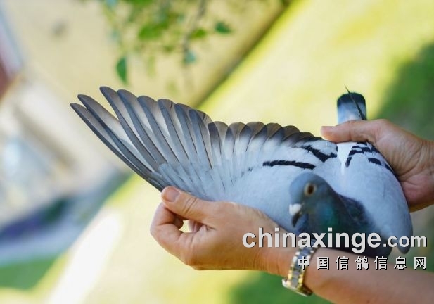 ���򲻶Ծ�����������������ƾ�ͱ��ָ��ٶ��