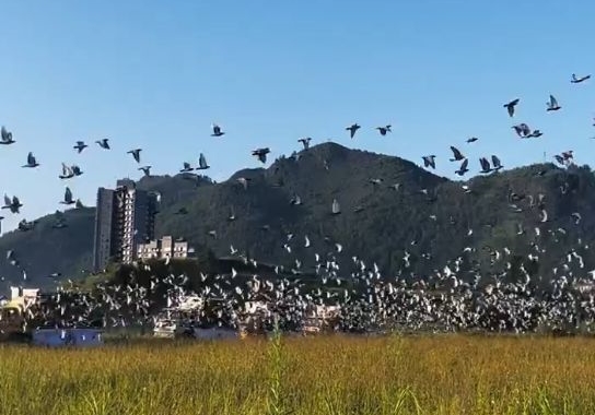 ۣӮ˹Ѫͳ ˹ֿվࣿ