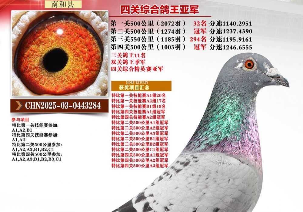 ����˫���ֶ�����Ǿ� �Ϻ͸���������� 