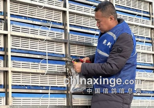 �������������һ�ر����߷��ٹ鳲��