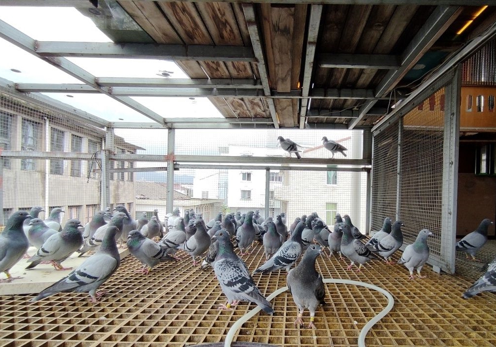 �����ﶬ��ð��ʵ�ǹ�����������