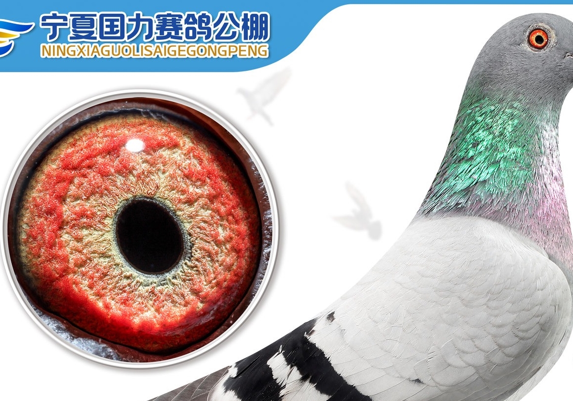 �����������:һ�������������  һ�·���������ھ�