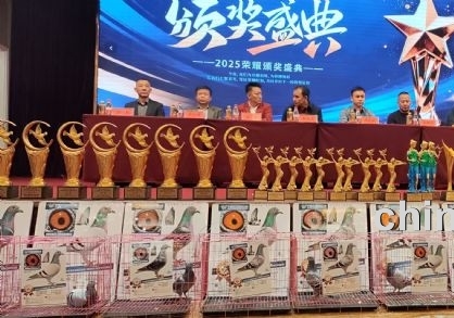 �������빫���ʮ���佱��������Բ����Ļ