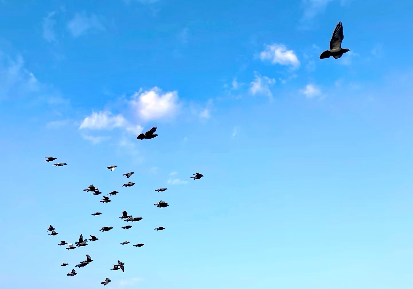 ��˵�����񡱾����ɶ� �������������٣�  