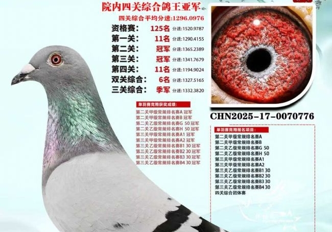 ���س�����ȫ���Ƚ����人�����Ժ���Ĺ��ۺ��Ǿ�