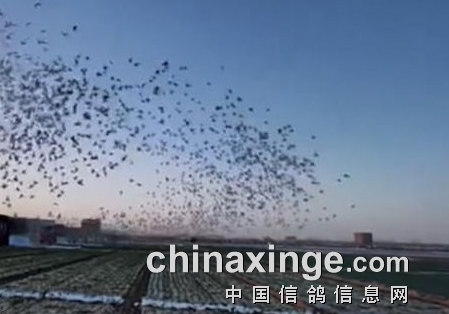 ���蹫������������ 380�����8�ɹ�