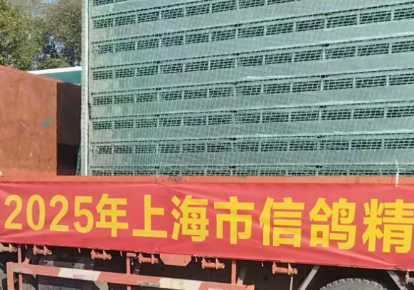 �Ϻ���Ⱦ�Ӣ����һ������ھ����� ��߷���1131