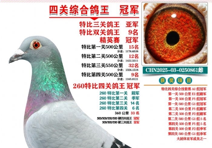 �����ع�ǰ��ʮ ������½�񽱸�����