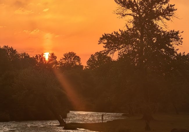 �����������ѵ��