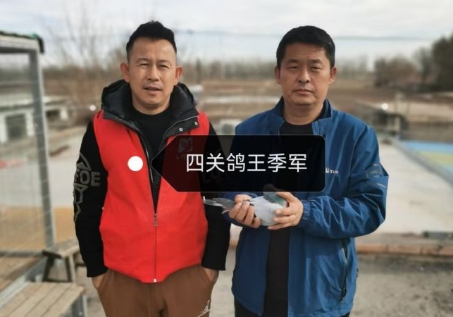 ������ƽ�����������ң���������