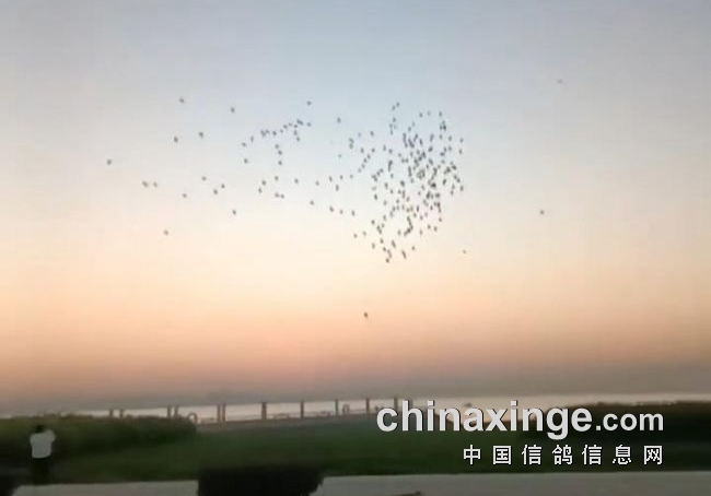 ����ҹ�ж��飡����ǧ��������ھ���¯