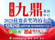 �����ھ�������ھ� ���ϾŶ�˫�ϸ���ʵ���Ƿ�