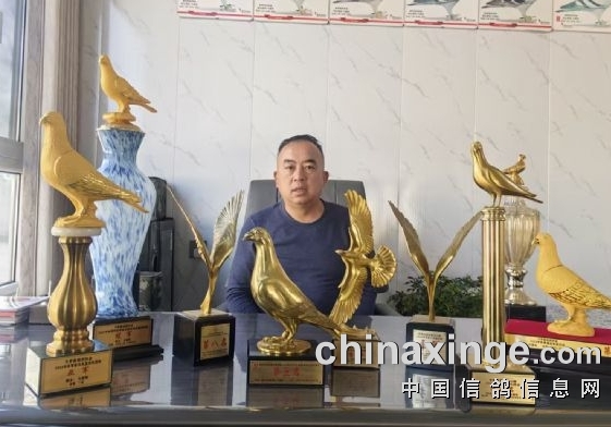 ƽ²���о�������������ƽ��������