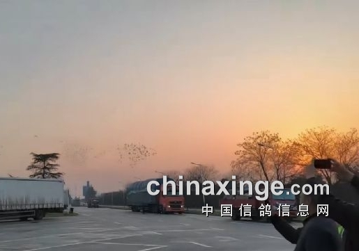 716���ս ����һ���ֲ�ǧ���￪��