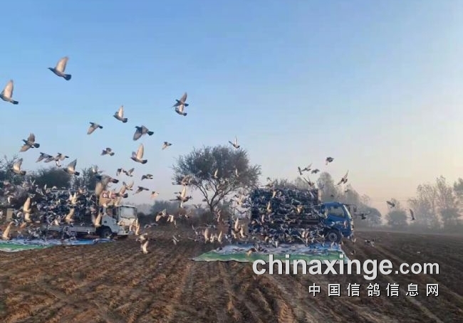 ����ɽ��˫���� ������վ�����ս�������