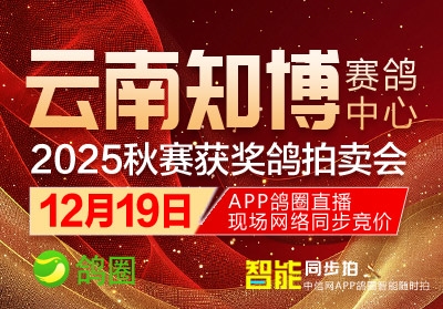 12��19�ո�Ȧֱ��������֪������񽱸�������