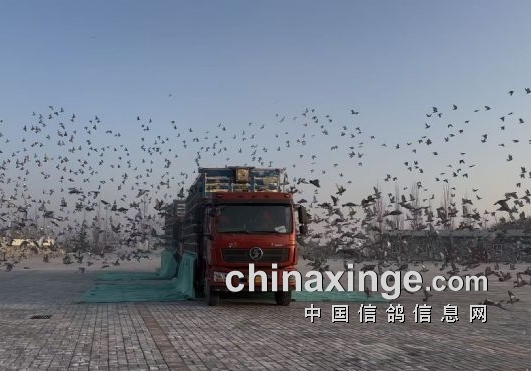 ˵������67�����������ļ�ֵ ��ֹ����