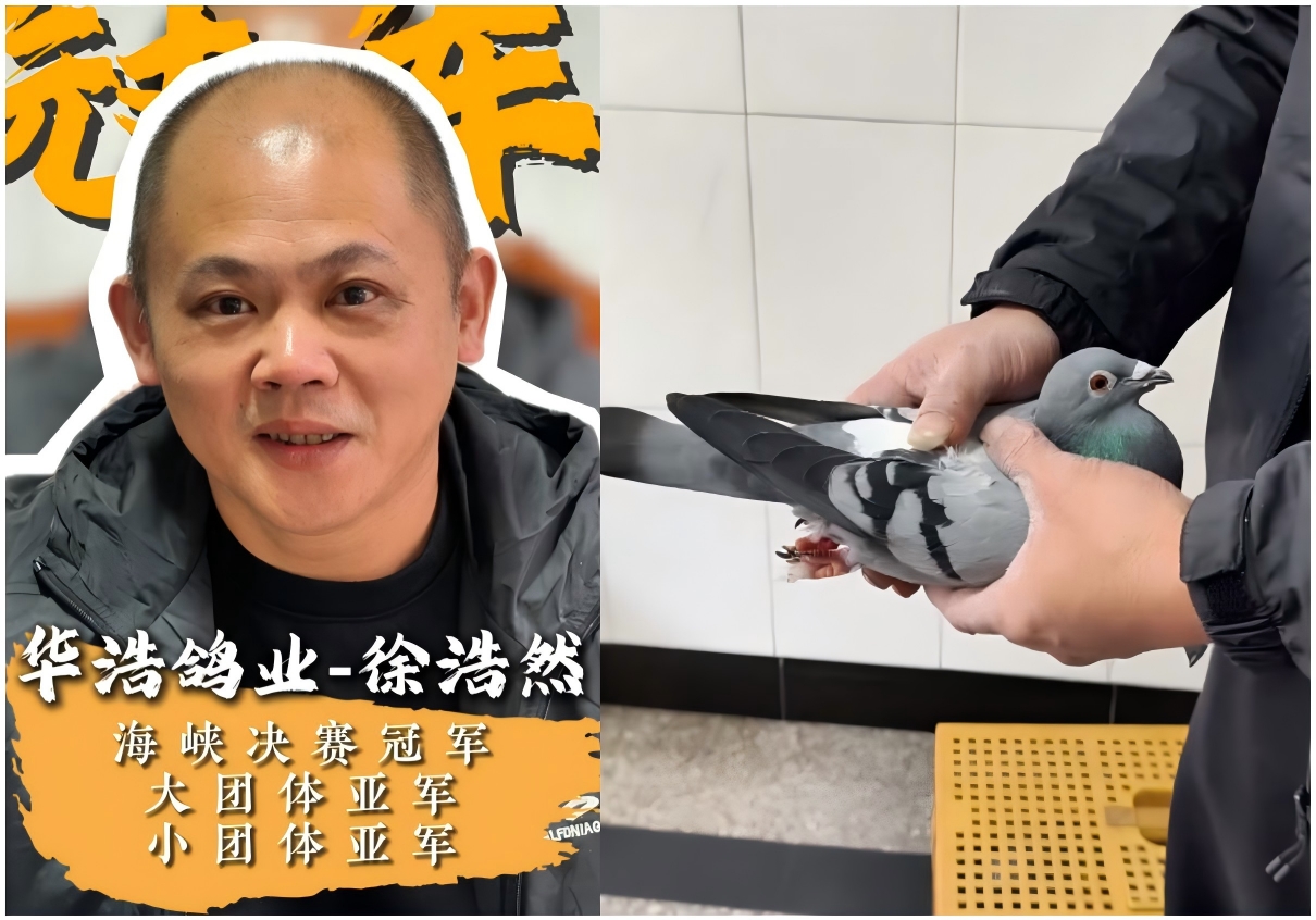 ����񽱸�Ѫͳ���أ���λ�ά����ʵս�������