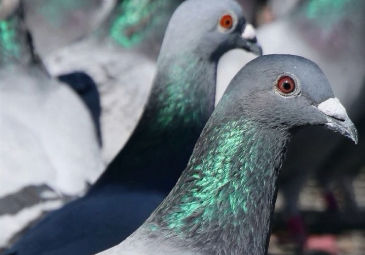 ���Ӻ����е����죿