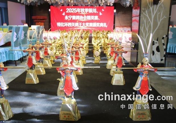 ��Ӣ�رȾ����