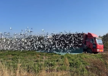 ���ϴ�����ܡ������� 30���������ӭ���ź�