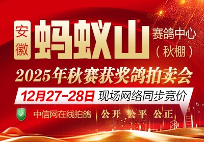 ʮ����������������� ��������ɽ��پ�����������