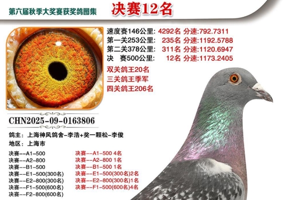 ����������ǿ���ӣ������᣺����������ƽ���17��