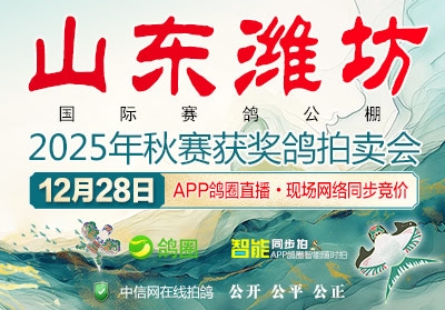 ���ظ���+ǧ����ھ���ɽ��Ϋ��������������������