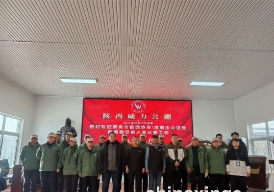 �������������3504ս�������