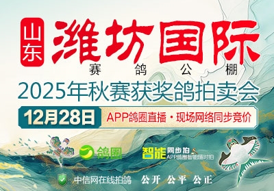 ���ظ���+ǧ����ھ���ɽ��Ϋ��������������������