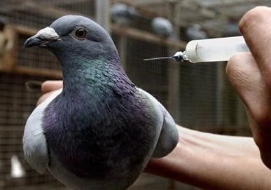 ������ҩ����ӽ���������������