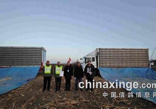 �ƽ���ٸ߹鳲��������������ڶ�����Բ���չ٣�