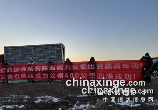 �����������������Ӣ����η�����飡