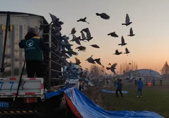 �й�Զ�����ٽ����8��ǧ����˫�ظ����ܳɼ�