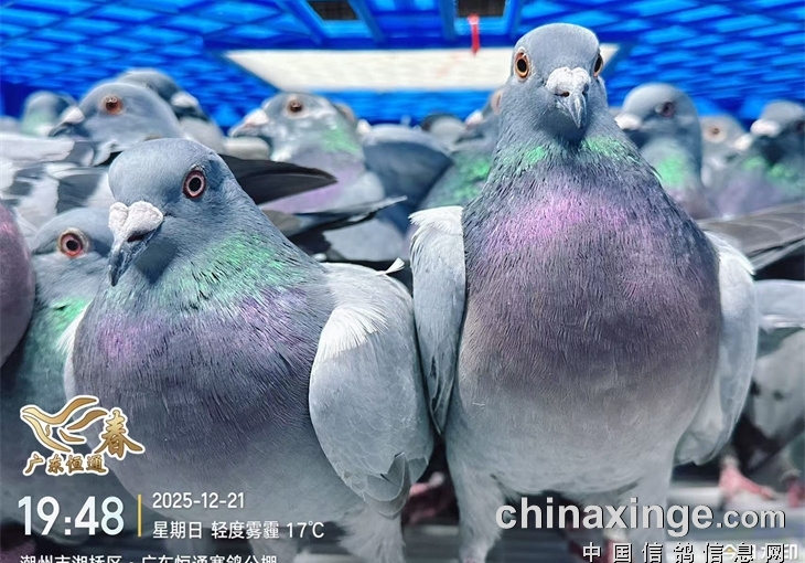 ��18��ɽ��ʡǧ���������ܳɼ�