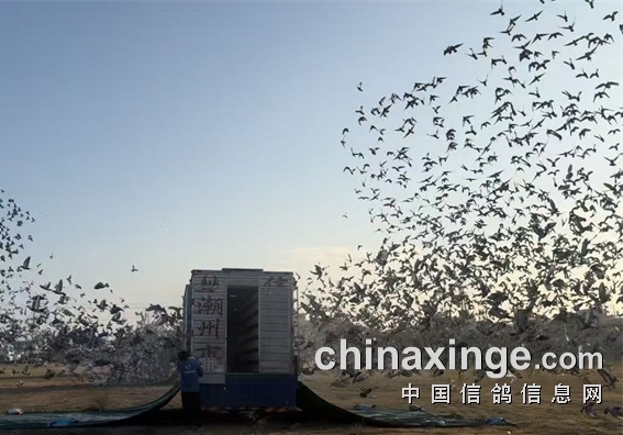 ɽ��4�ҹ���ͬ�տ�ս ��ǧ������