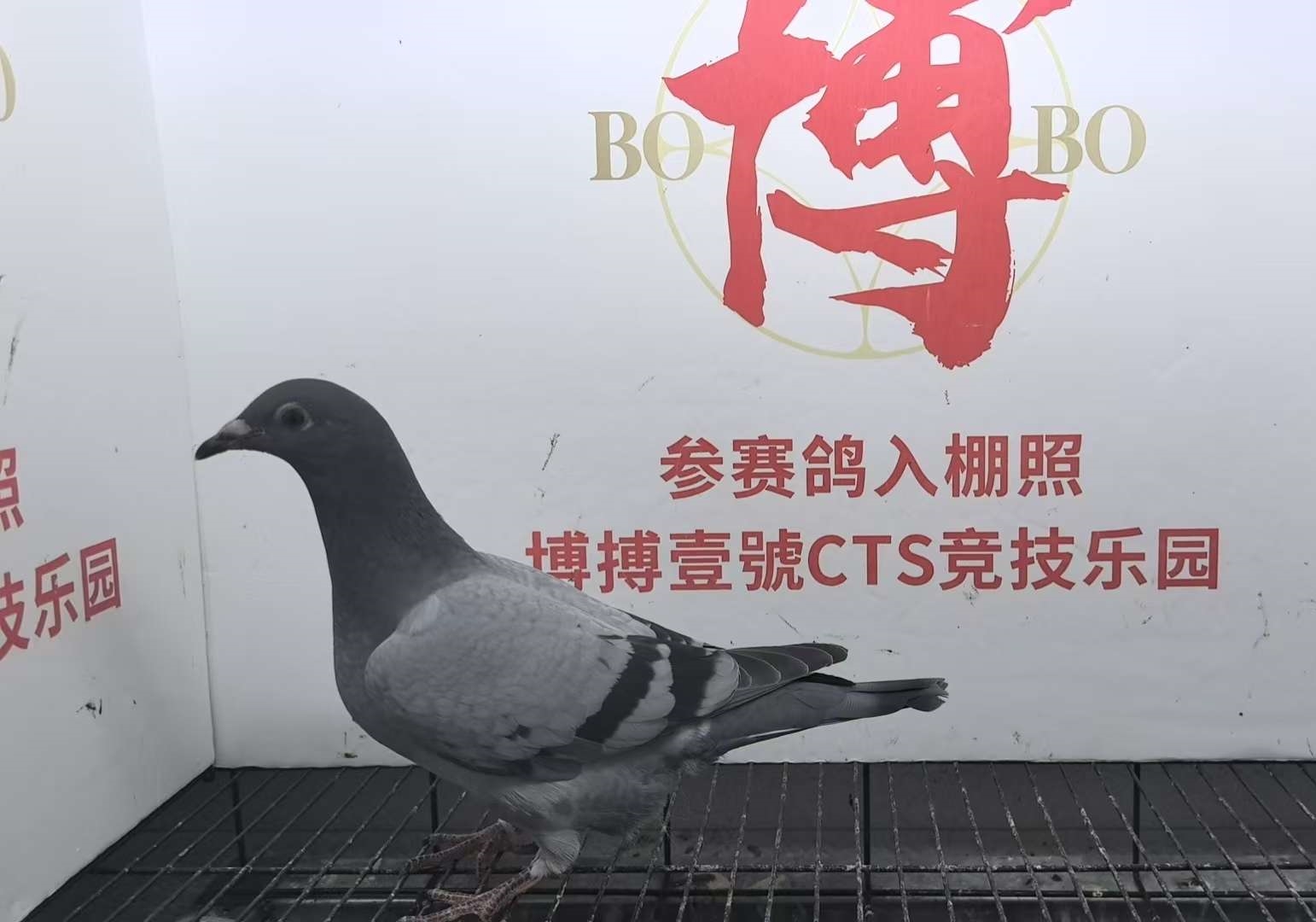 ʵ���������������Ǿ� ��������ɳ�����