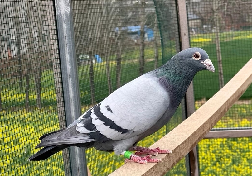 �Ƹ�����Ҫ���� 2-3��Ϊ�ƽ���