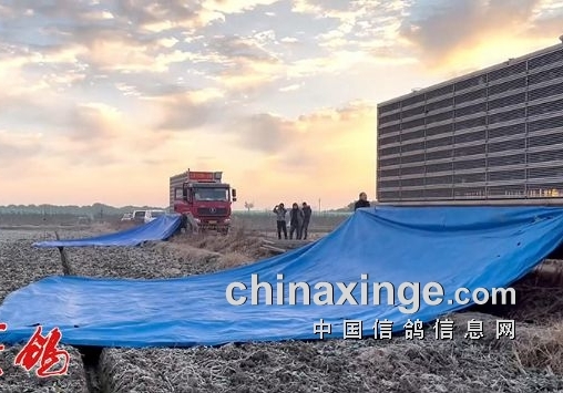 ����������ڶ��� �Ϻ����������