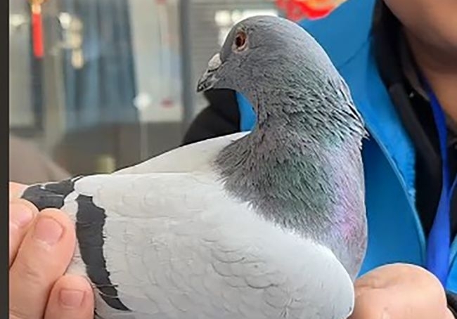 ���հ���������Ļ ���ݳ���ϲ������ھ�