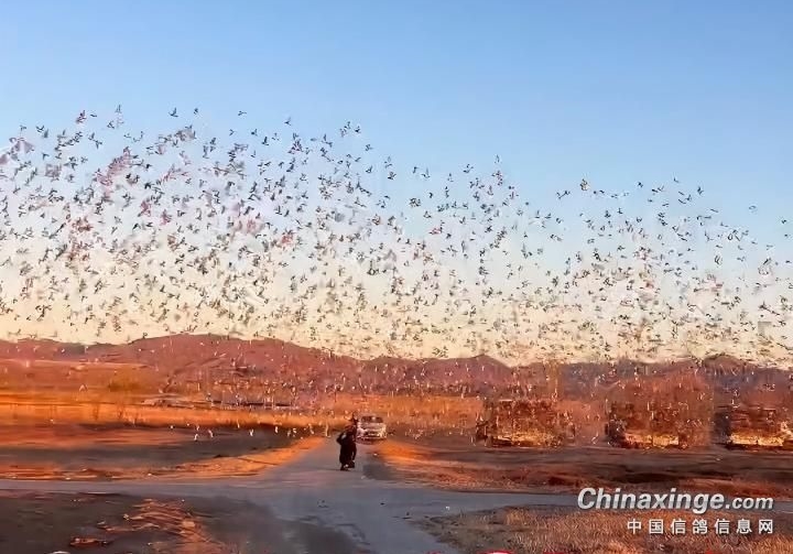 ��̸�츳���Ŵ��������