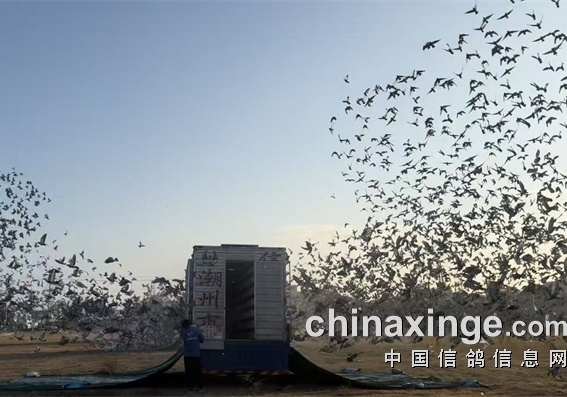 �㶫�������� ���Ҵ��������ʸ�վ����