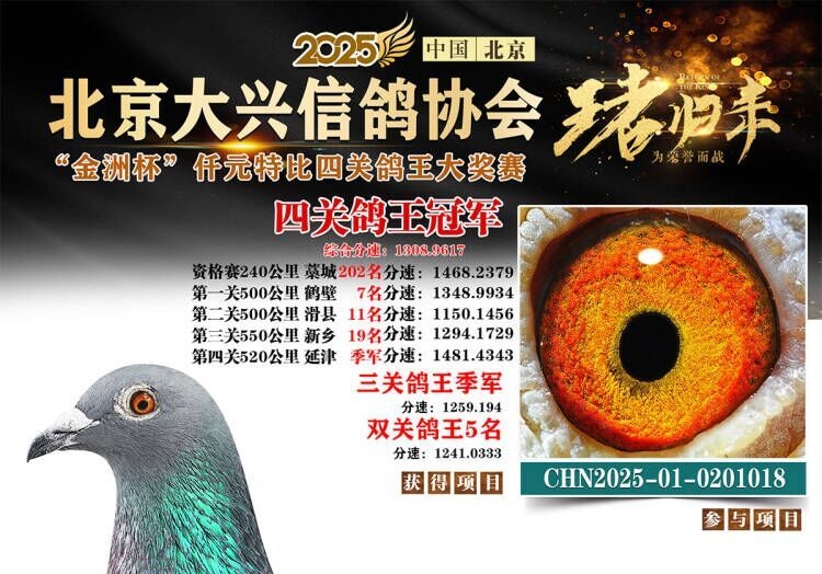 �Ĺ��Ƚ���ʮǿ���������˸����ھ�����