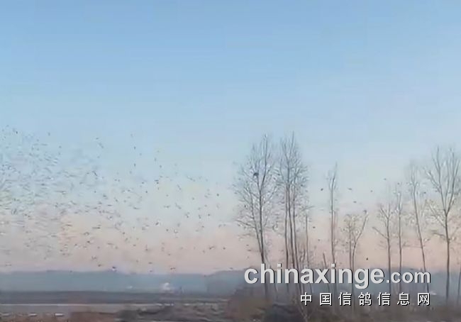 �Ĺظ���ǰ��ռ���� ʵս���ұ��ô󽱹�