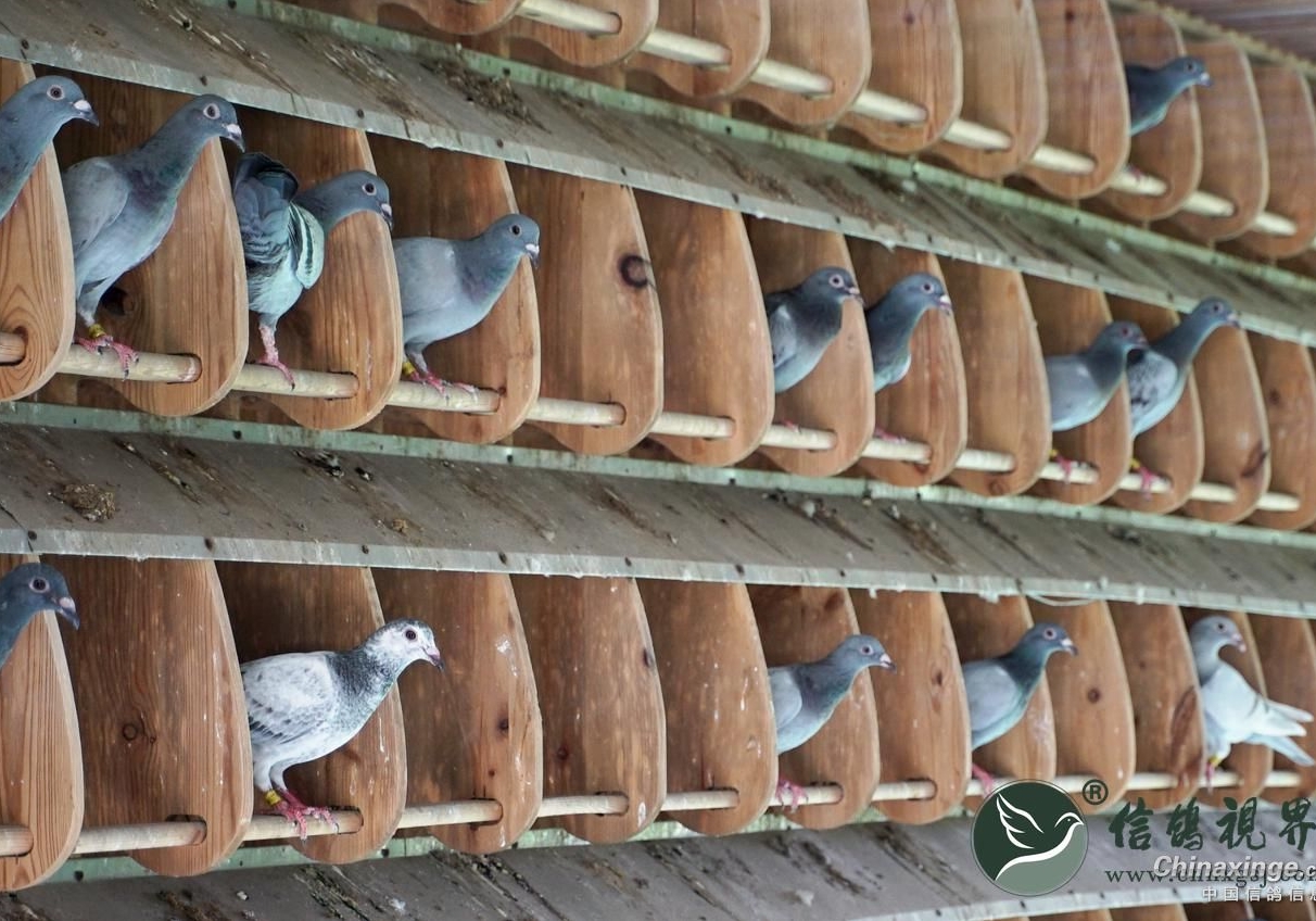 ����С˵�������ɣ��ʮ��ѡ���͹���