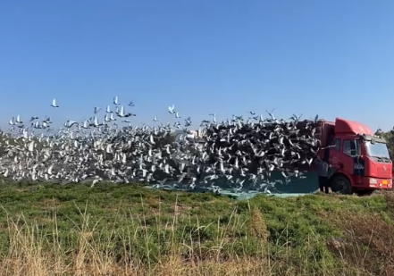 ���ϡ��������������͵�ʡ��