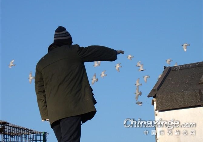 һ·����Խ��Խ�� ���Ǹ���