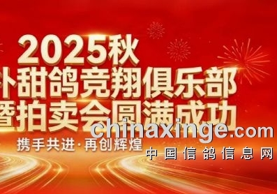 ����ʢ�٣����δ�� 2025�人�����佱������ʢ��