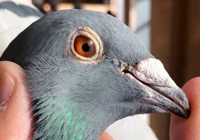 ������᣺���ٺõ����Ҳֻ��һ�ꡱ